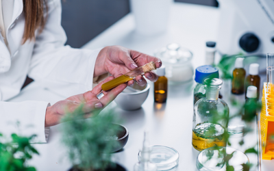 Testing Herbs and oils in Lab